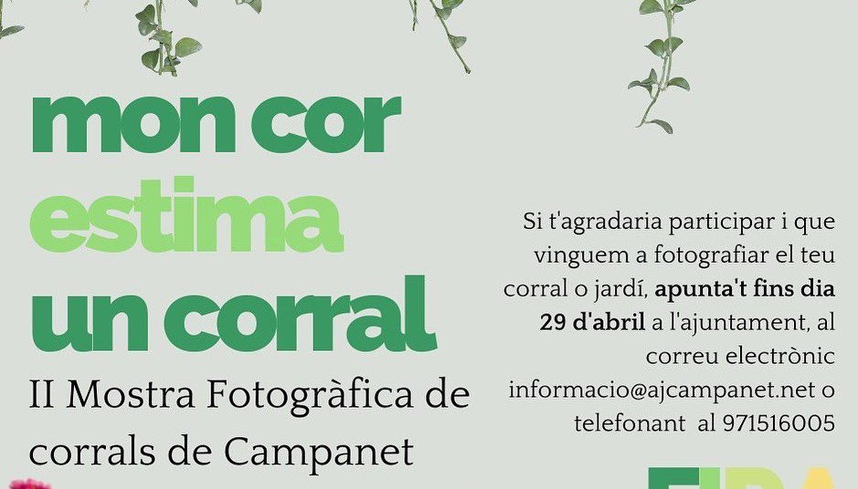 CARTELL CORRALS 