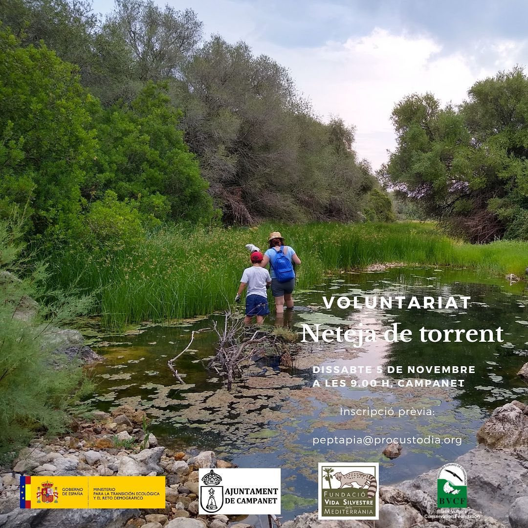 VOLUNTARIAT - NETEJA TORRENT