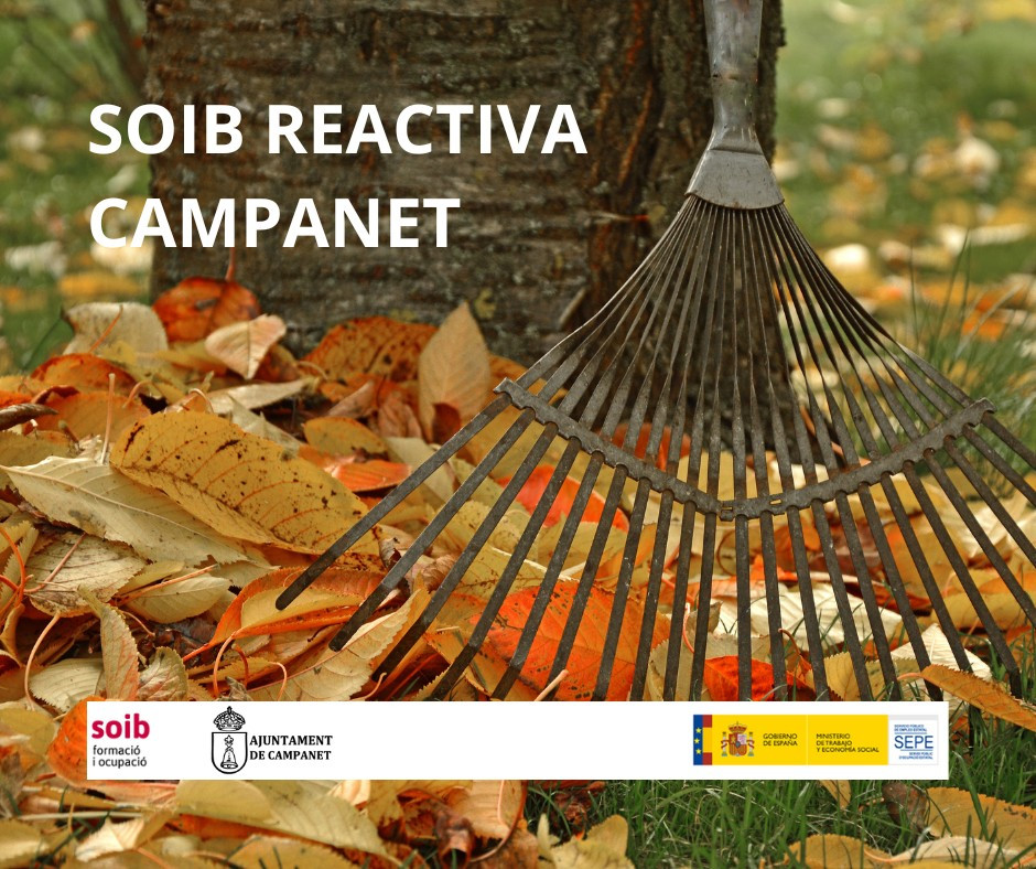 CARTELL SOIB REACTIVA