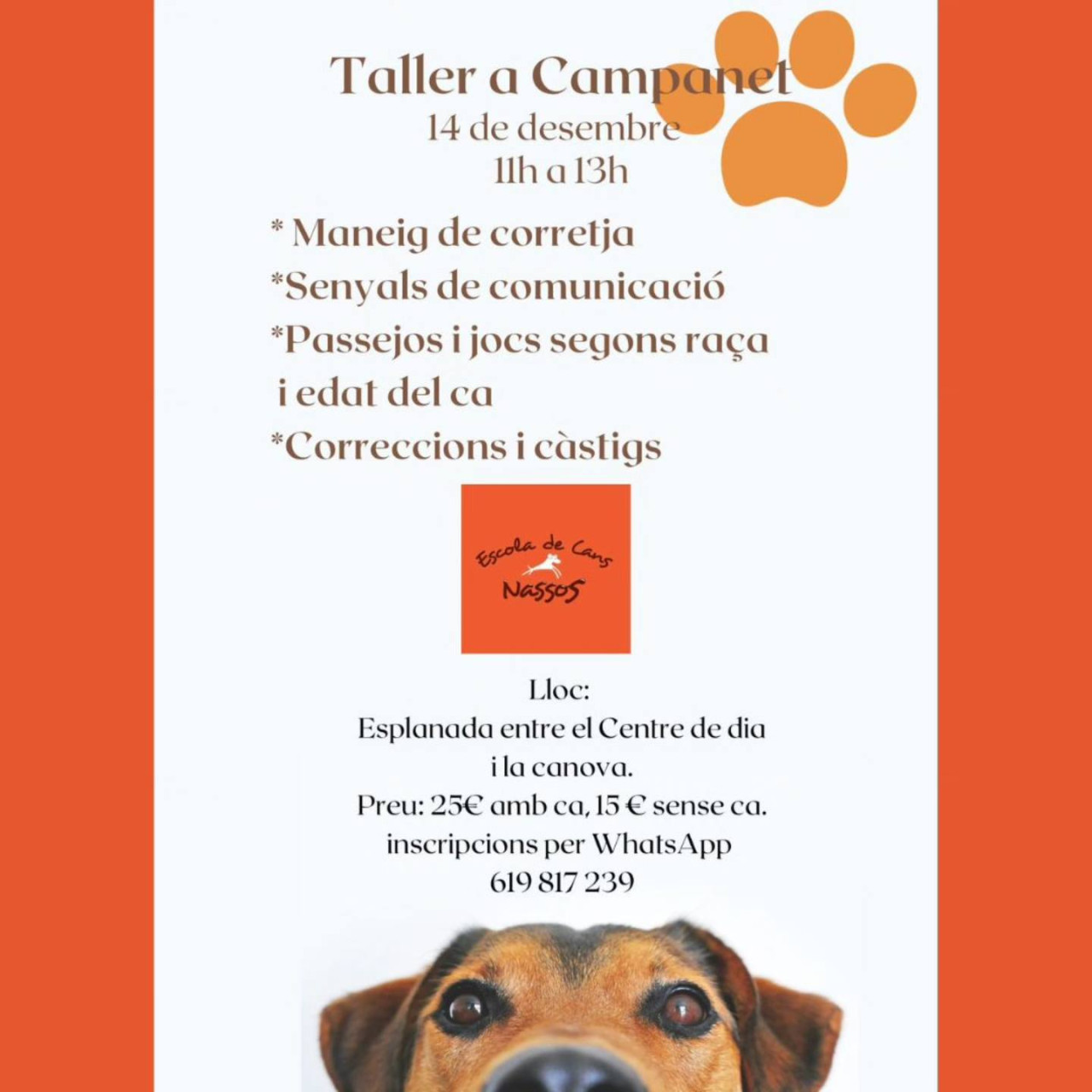 Taller de l'Escola de cans Nassos