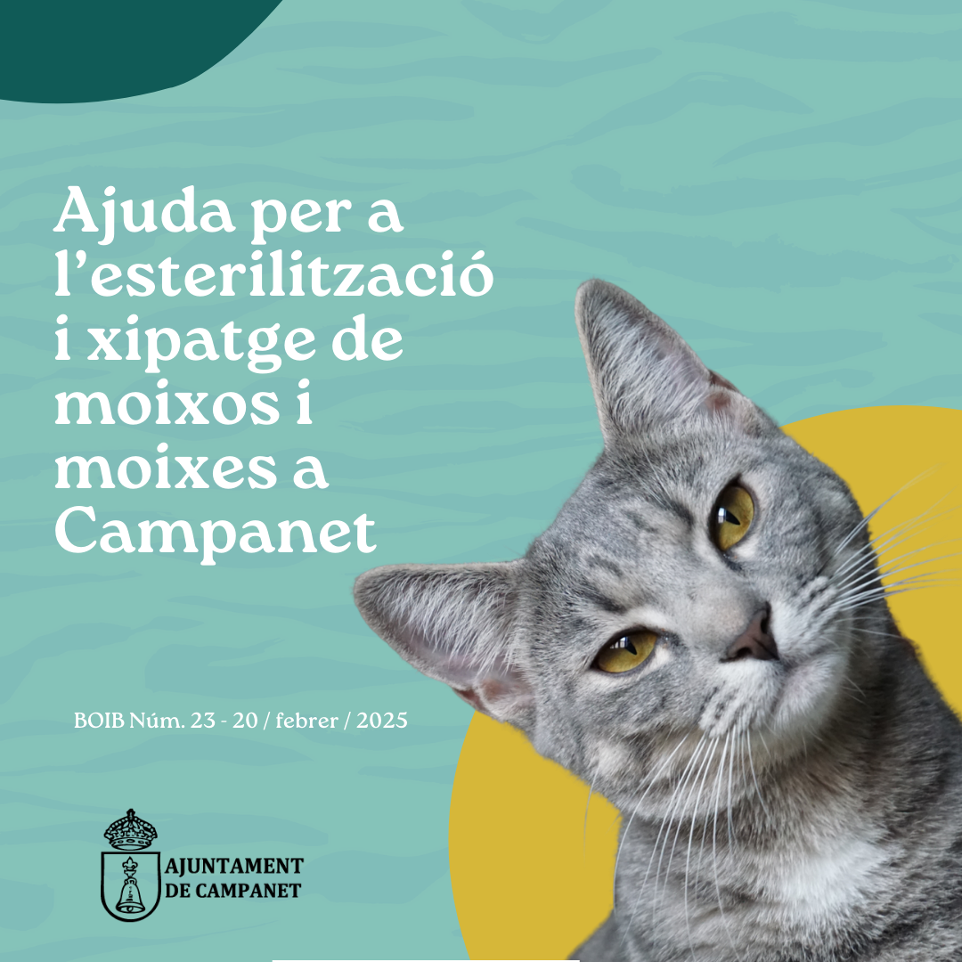 Ajuda per a l’esterilització i xipatge de moixos i moixes