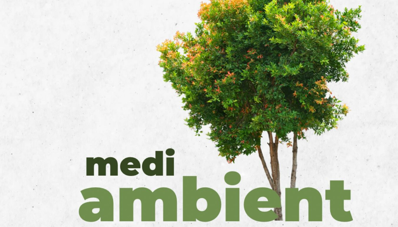 medi ambient