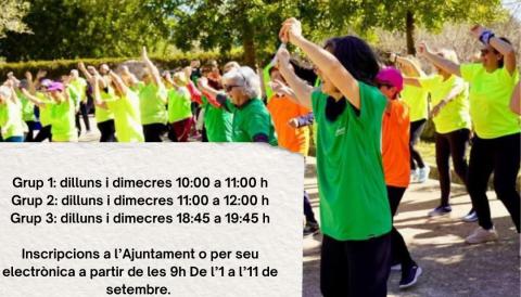 CARTELL MOU-TE AMB SALUT